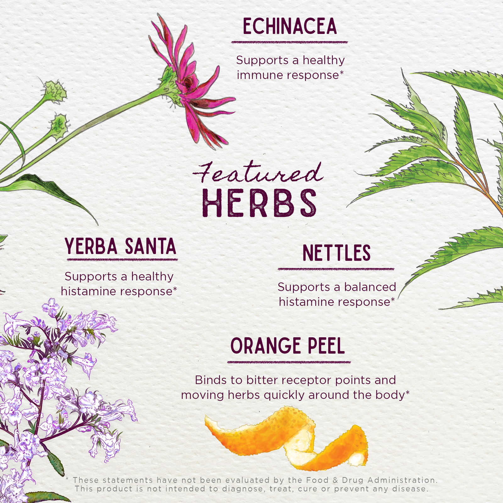 Kick-Ass Allergy & Sinus, Soother