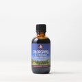 Chlorophyll & Friends
